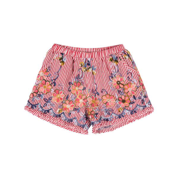 Paper Wings Embroided Shorts