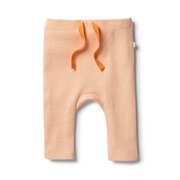 Wilson & Frenchy Organic Stripe Legging-pants-and-shorts-Bambini