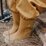 Crywolf Rain Boots