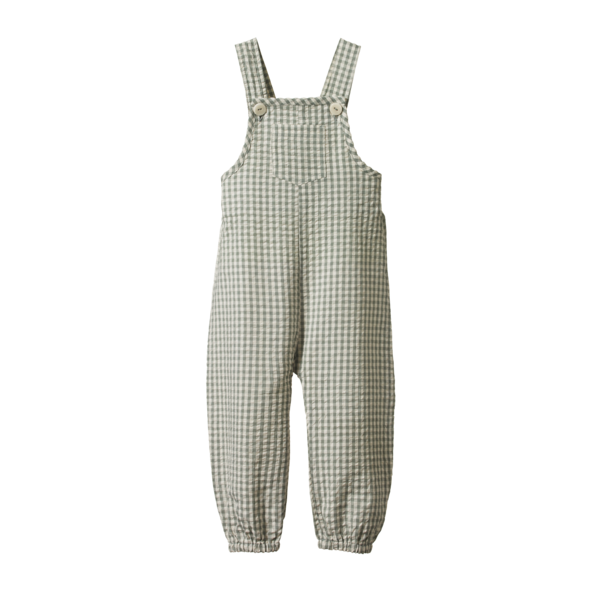 Nature Baby Tipper Gingham Overalls