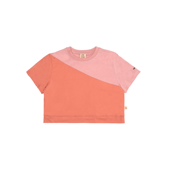 The Girl Club Colour Block Crop Tee