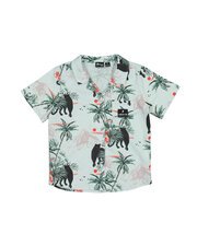 Radicool Tropics Shirt-tops-Bambini