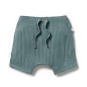 Wilson & Frenchy Rib Short-pants-and-shorts-Bambini