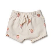 Wilson & Frenchy Terry Short-pants-and-shorts-Bambini
