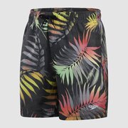 Speedo Printed Watershort-swimwear-Bambini