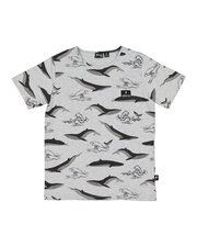Radicool The Tropical Whale Tee-tops-Bambini