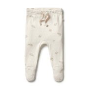 Wilson & Frenchy Pointelle Legging-pants-and-shorts-Bambini