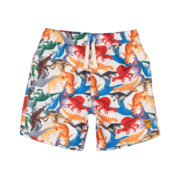 Rock Your Kid Dino Toys Boardshorts-pants-and-shorts-Bambini