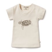 Wilson & Frenchy Tiny Turtle Tee-tops-Bambini