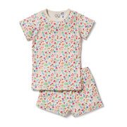 Wilson & Frenchy Short Sleeve Pyjamas-sleepwear-Bambini