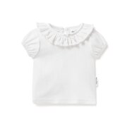 Aster & Oak Pointelle Ruffle Top-tops-Bambini