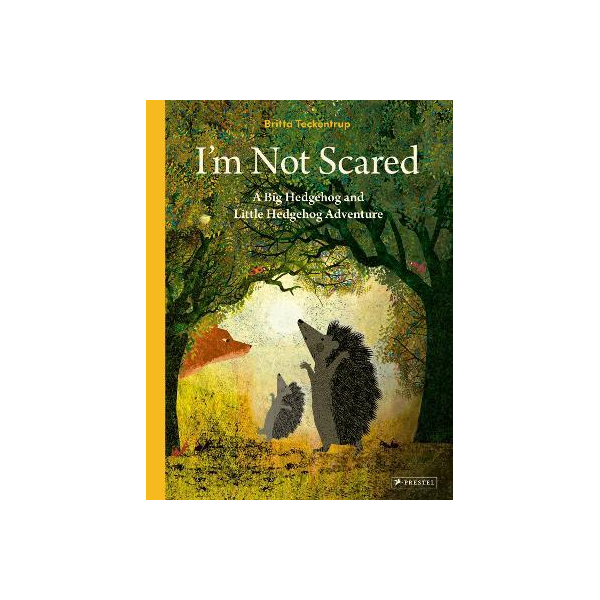 I'm Not Scared Book