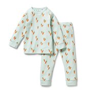 Wilson & Frenchy Cute Carrots Organic long sleeved Pyjamas-sleepwear-Bambini