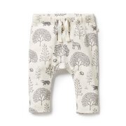 Wilson & Frenchy Organic Legging-pants-and-shorts-Bambini