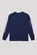 Santa Cruz Inherit Pop LS Tee