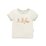 Aster & Oak Teddy Picnic Print Tee