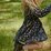 Nature Baby LS Twirl Dress
