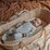 Nature Baby Dreamland Suit