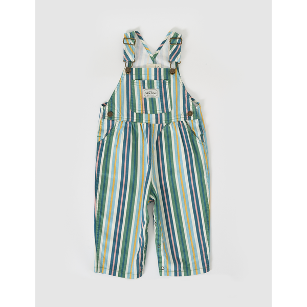 Goldie + Ace Evergreen Stripe Austin Denim Overalls