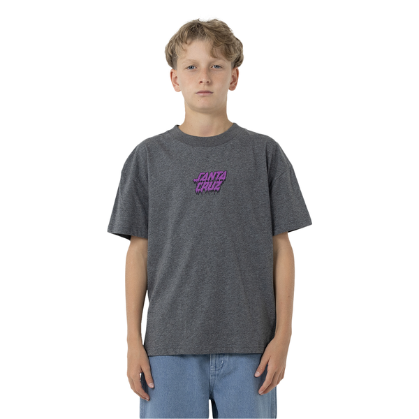 Santa Cruz Decaying Hand Tee