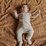 Nature Baby Footed Romper