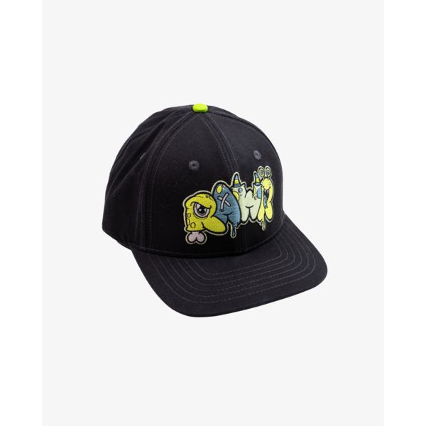 Band Of Boys RAWR Hip Hop Cap