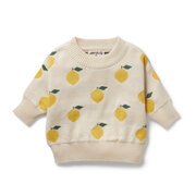 Wilson & Frenchy Knitted Jacquard Jumper-tops-Bambini