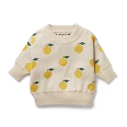 Wilson & Frenchy Knitted Jacquard Jumper-tops-Bambini