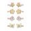 Mimi & Lula Mini Clip 8 Pack