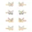 Mimi & Lula Mini Clip 8 Pack