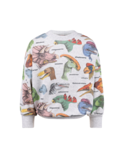 Rock Your Kid Dino Bright Sweatshirt-tops-Bambini