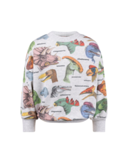 Rock Your Kid Dino Bright Sweatshirt-tops-Bambini
