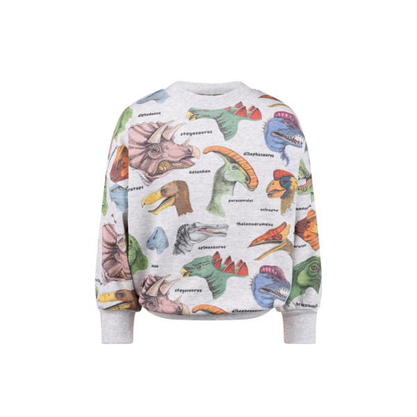 Rock Your Kid Dino Bright Sweatshirt