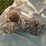 Nature Baby Stretch & Grow