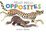 Hello Hello Opposites Book
