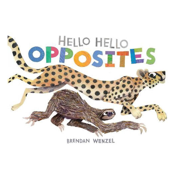 Hello Hello Opposites Book
