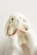 Snuggle Bunnies Penelope the Bunny 20cm