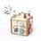 Speedy Monkey 5 in 1 Activity Cube