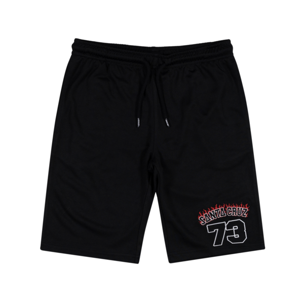 Santa Cruz Collegiate Arch 73 Track Shorts