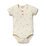 Wilson & Frenchy Henley Bodysuit
