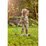 Hape Lawn Rake - Kids
