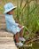 Toshi Swim Sunhat Paradise