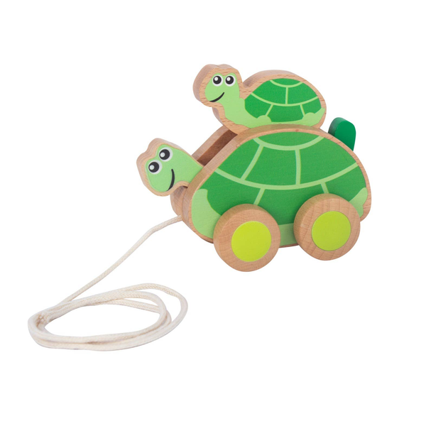 ToysLink Pull-Along Mummy & Baby Turtles