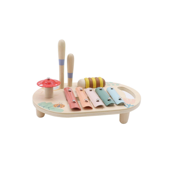 ToysLink Happy Spring Music Activity Set