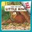 Time for Bed Little Kiwi Lift the Flap Book
