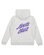 Santa Cruz Fusion Flame Stack Strip Centre Hoodie
