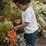 Nature Baby James Shorts