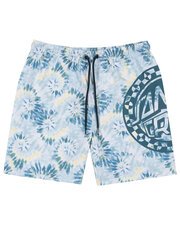 Santa Cruz Malba Crash Dot Mono Boardshort-pants-and-shorts-Bambini