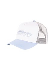 Santa Cruz Flame Strip Centre Trucker Cap-hats-and-sunglasses-Bambini