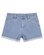 Santa Cruz Other Dot Shorts